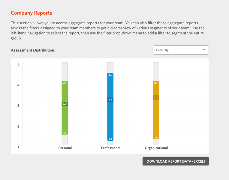 ENT-CompanyReport